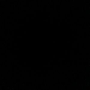 Meet your Posher, Destinie